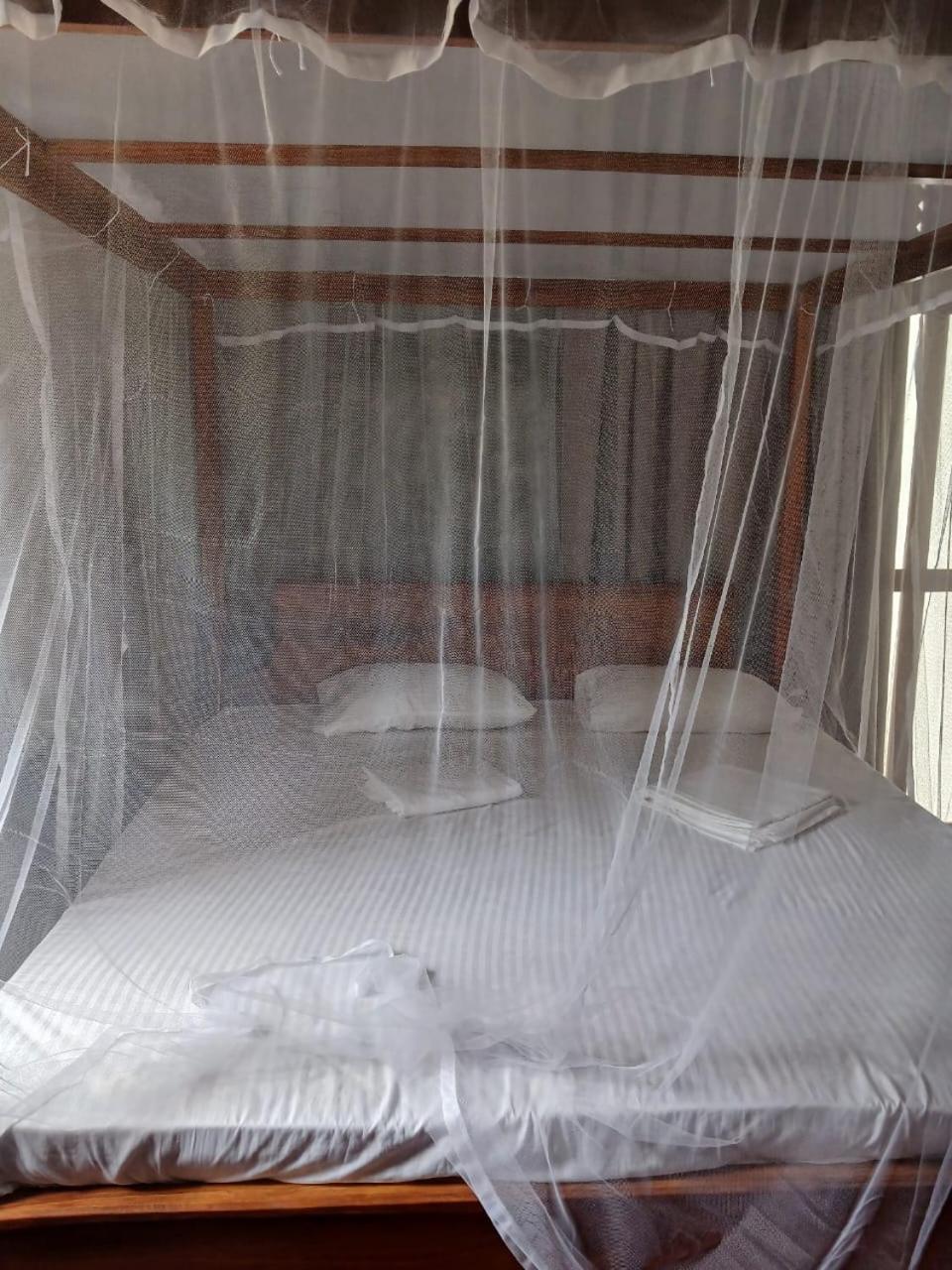 Ima House Bed & Breakfast Dikwella Bagian luar foto